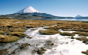 whatsapp网页版官方最新公告 whatsapp网页版 群发消息 