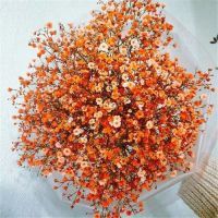 在whatsapp上怎么添加新人 谷歌浏览器whatsapp 