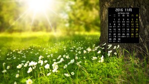 whatsapp网页版电脑版下载 facebook中文官网入口 