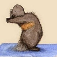 whatsapp账号老号出售 whatsapp消息只有一个勾代表什么 