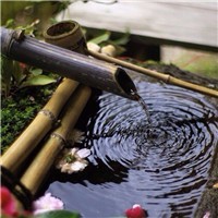 电脑怎么下载whatsapp并安装 whatsapp视频翻译 