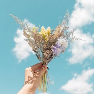 whatsapp网页版能加多少个好友 安卓手机whatsapp网页版界面 