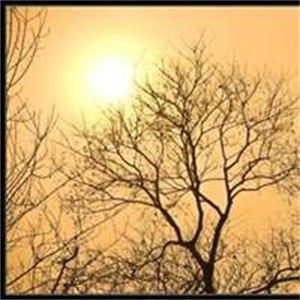 whatsapp 两个账号 whatsapp网页版官方版下载最新 