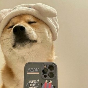 whatsapp官方网下载apk whatsapp 两个账号 