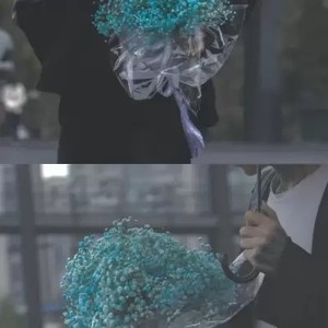 whatsapp官方网下载apk whatsapp 两个账号 