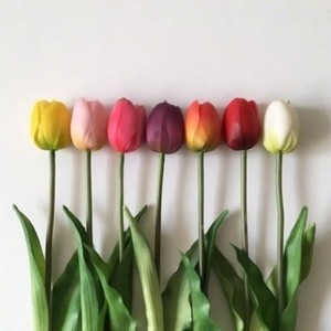 whatsapp官网下载最新版2024 whatsapp网页版养号注意事项 