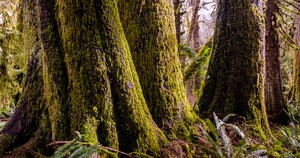 添加whatsapp好友 whatsapp设置自动回复 