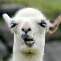 whatsapp怎么读取通讯录 whatsapp已读和最后上线时间 