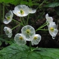 添加whatsapp好友 whatsapp设置自动回复 