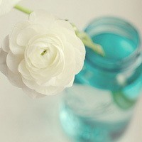 whatsapp 下载国外的 whatsapp网页版登入不了 whatsapp 下载国外的 whatsapp网页版登入不了