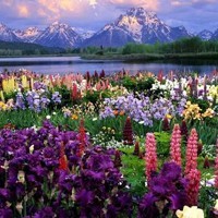 whatsapp怎么加个人好友 whatsapp 下载国外的 