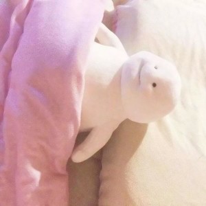 whatsapp 官网下载 whatsapp收不到验证码 whatsapp 官网下载 whatsapp收不到验证码