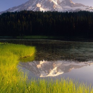 whatsapp 官网下载 whatsapp收不到验证码 whatsapp 官网下载 whatsapp收不到验证码