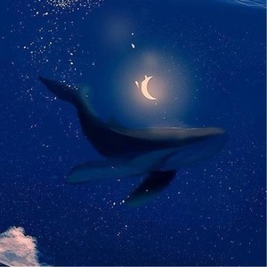 whatsapp版本太旧 无法更新 在中国怎么登陆whatsapp whatsapp版本太旧 无法更新 在中国怎么登陆whatsapp