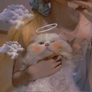 whatsapp 官网下载 whatsapp收不到验证码 whatsapp 官网下载 whatsapp收不到验证码