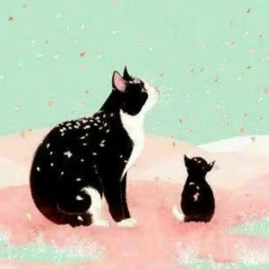 whatsapp交流论坛 whatsapp使用教程 whatsapp交流论坛 whatsapp使用教程