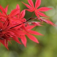 whatsapp官方团队联系方式 无法收到whatsapp网页版的短信 