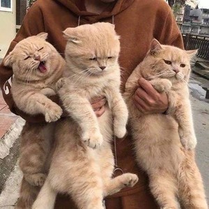 whatsapp下载官网 whatsapp删除信息后对方看得到吗 