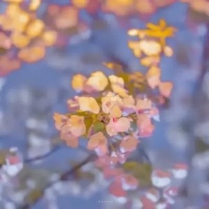 whatsapp网页版号码筛选软件 whatsapp网页版里如何推荐好友 