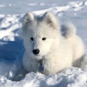 whatsapp网页版号码筛选软件 whatsapp网页版里如何推荐好友 