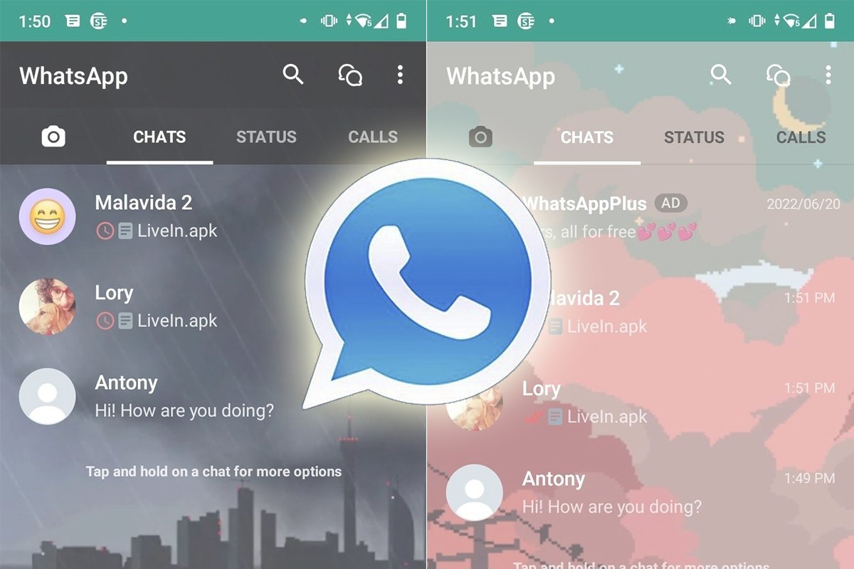whatsapp官方邮箱地址 whatsapp免费下载安卓