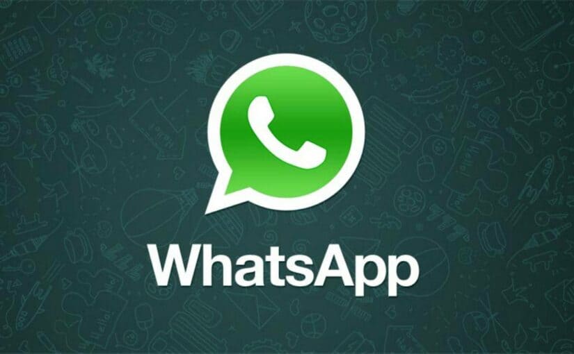 whatsapp已读消息但双勾灰色 2024年whatsapp网页版下载