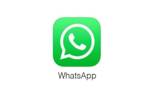 whatsapp接收不到验证短信 whatsapp官网入口