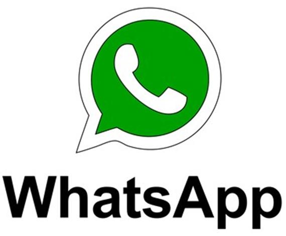 whatsapp接收不到验证短信 whatsapp最新版本下载 安卓版